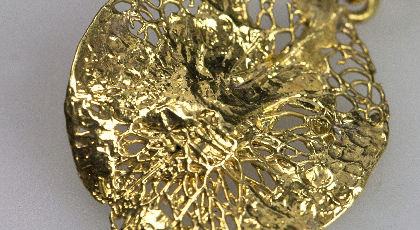 Ulmensamen vergoldet (AHG1506002)