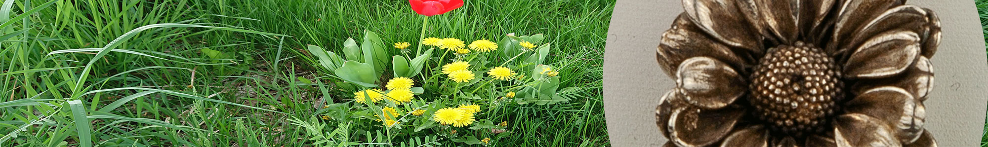 Kopfbild Blumen
