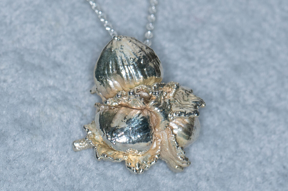 Drei Haselnüsse für Aschenbrödel.(AHS2400010)