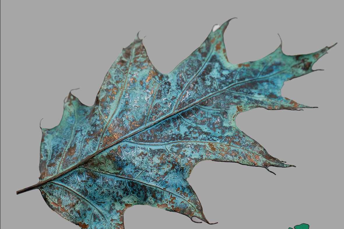 Eichenblatt als Haarspange (HSK1404002)